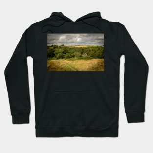 Abandoned Farm in Woodland - Baglan/ Briton Ferry - 2013 Hoodie